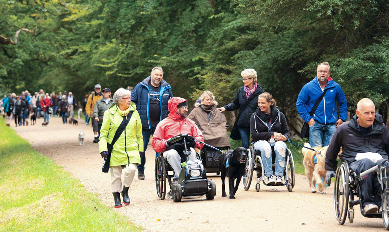 Billede af tidligere Dog A Thon