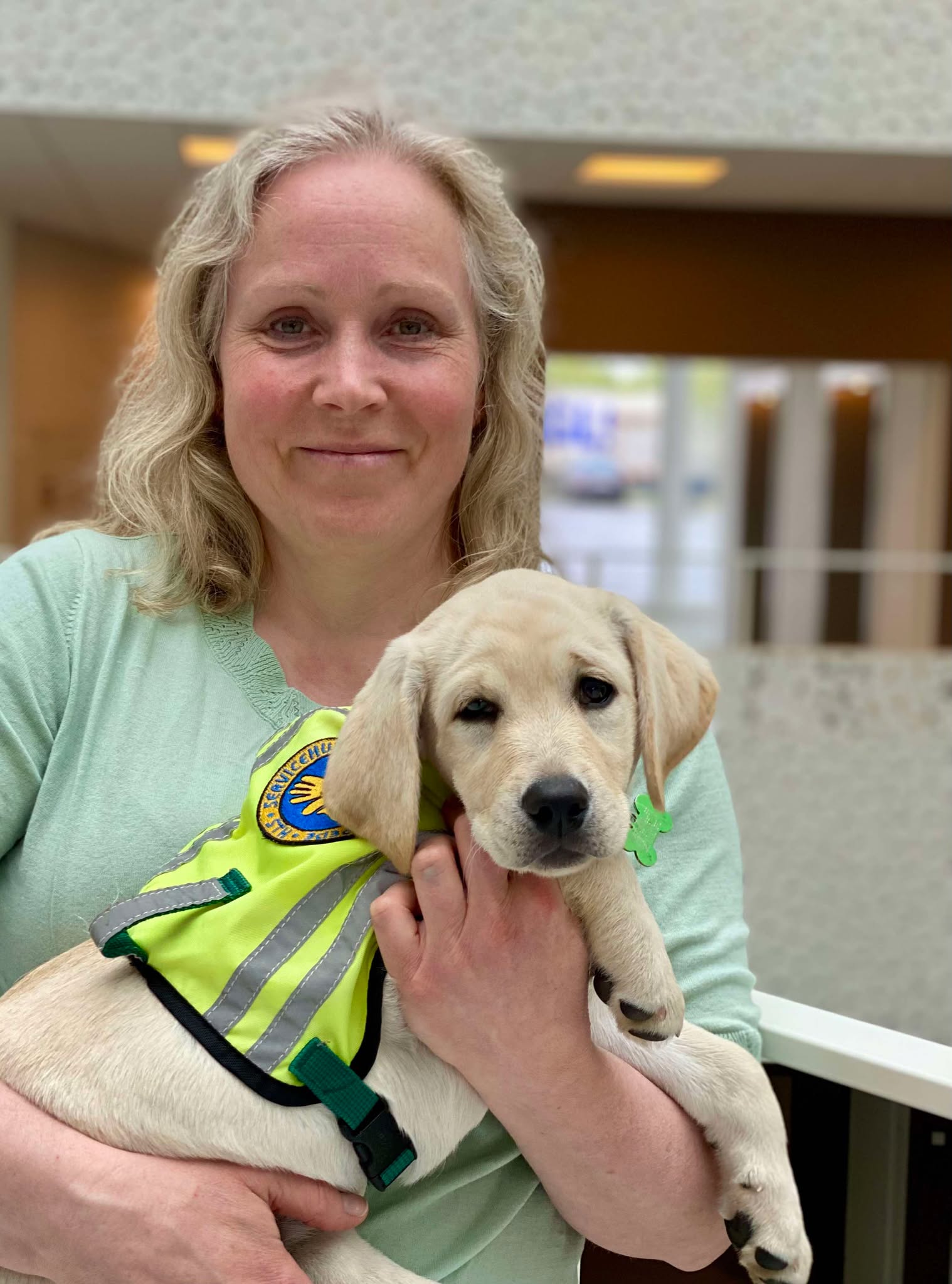 494687349 1941759579967728 6609951732543477054 N