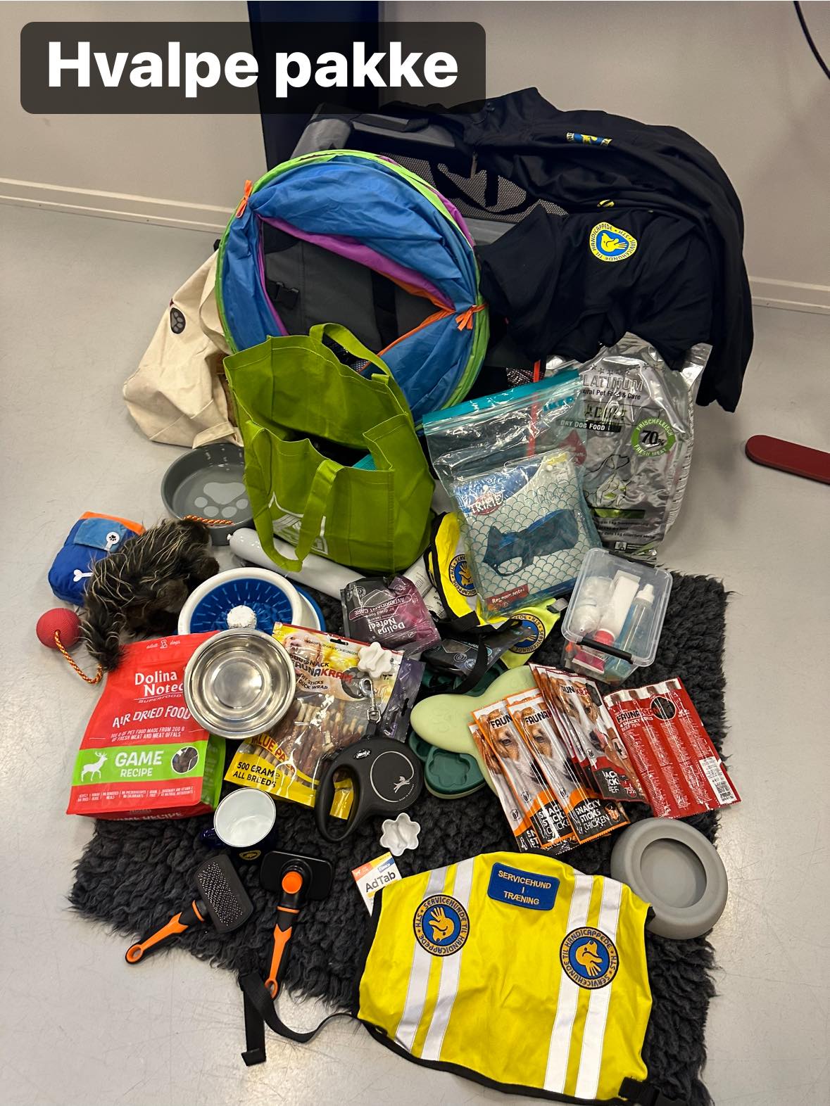 2024 Hvalpeværtspakke