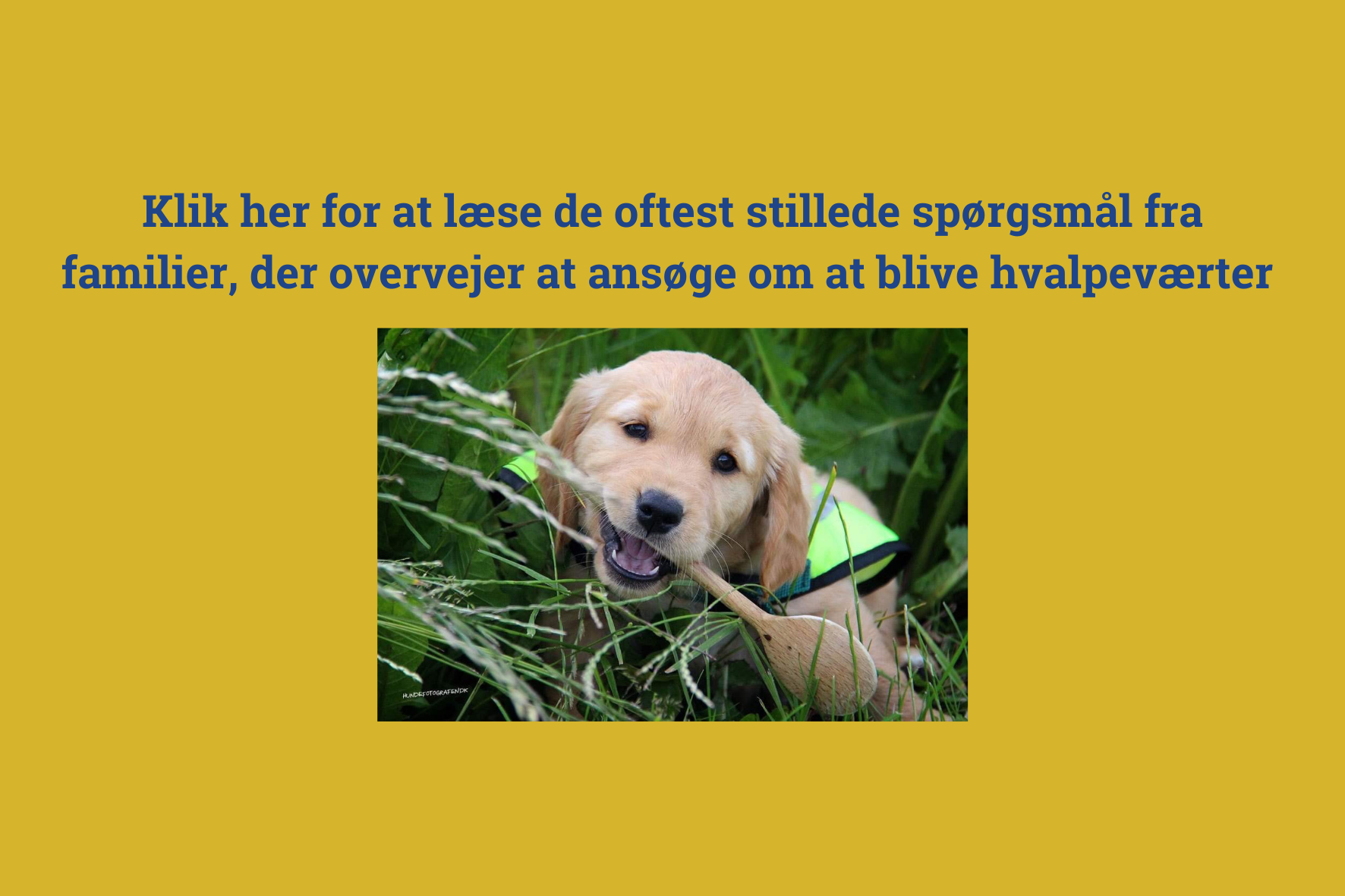 Ofte Stille Spørgsmål Knap Til Www (2)