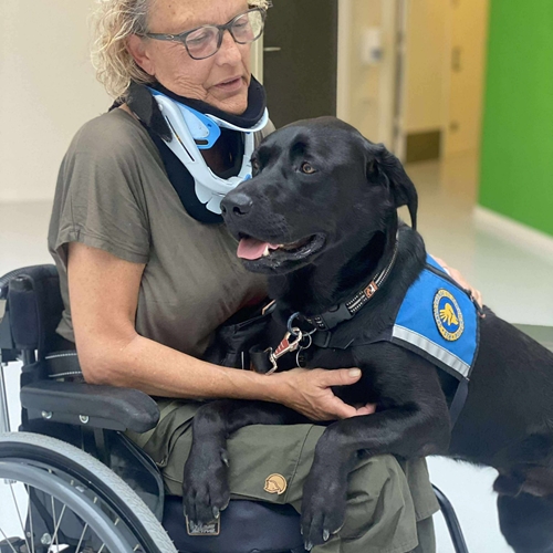 Team Charlotte Og Shadow Sept 2025