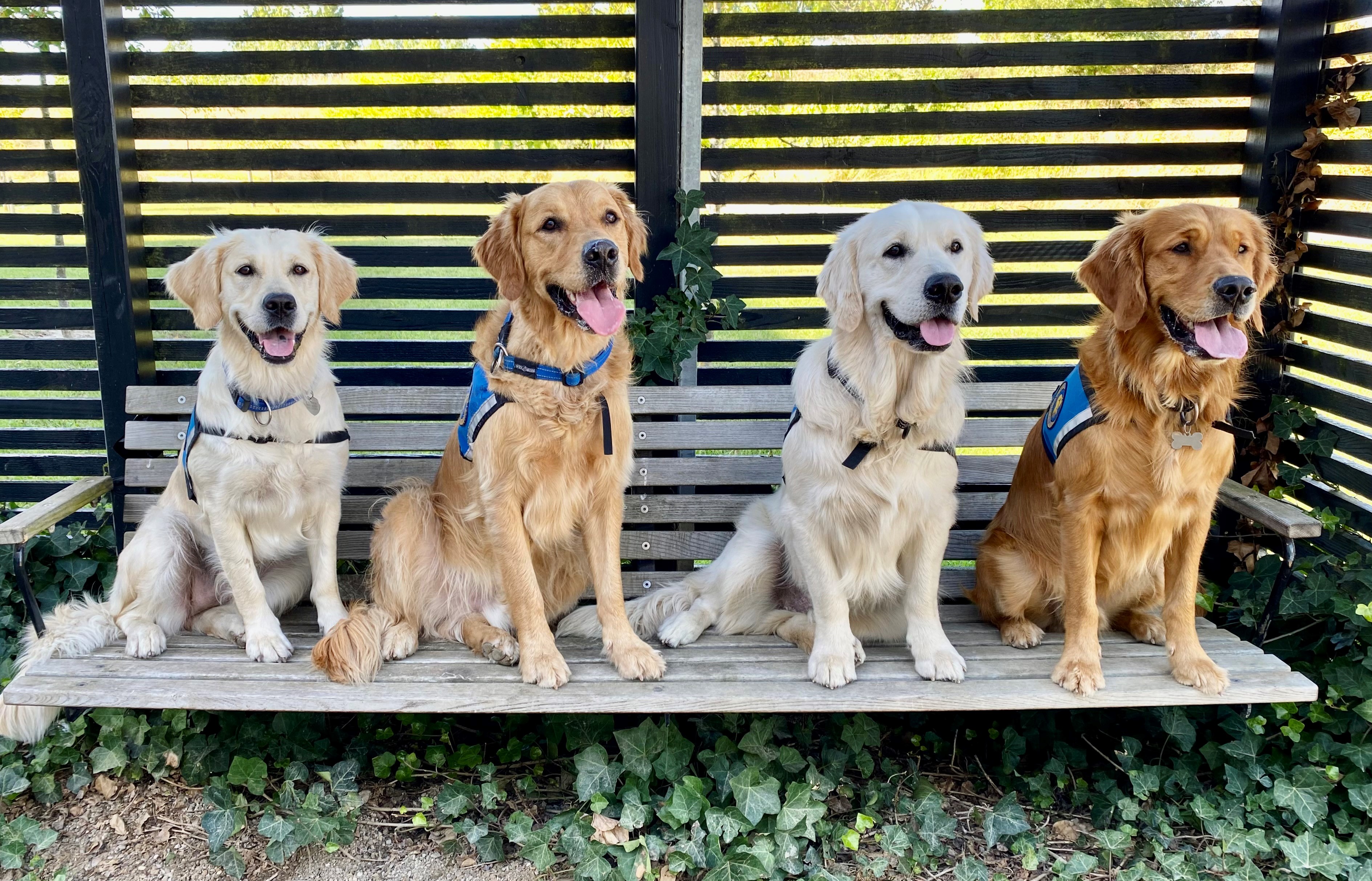 Til Graduation 2022 Invitation Okt 2022