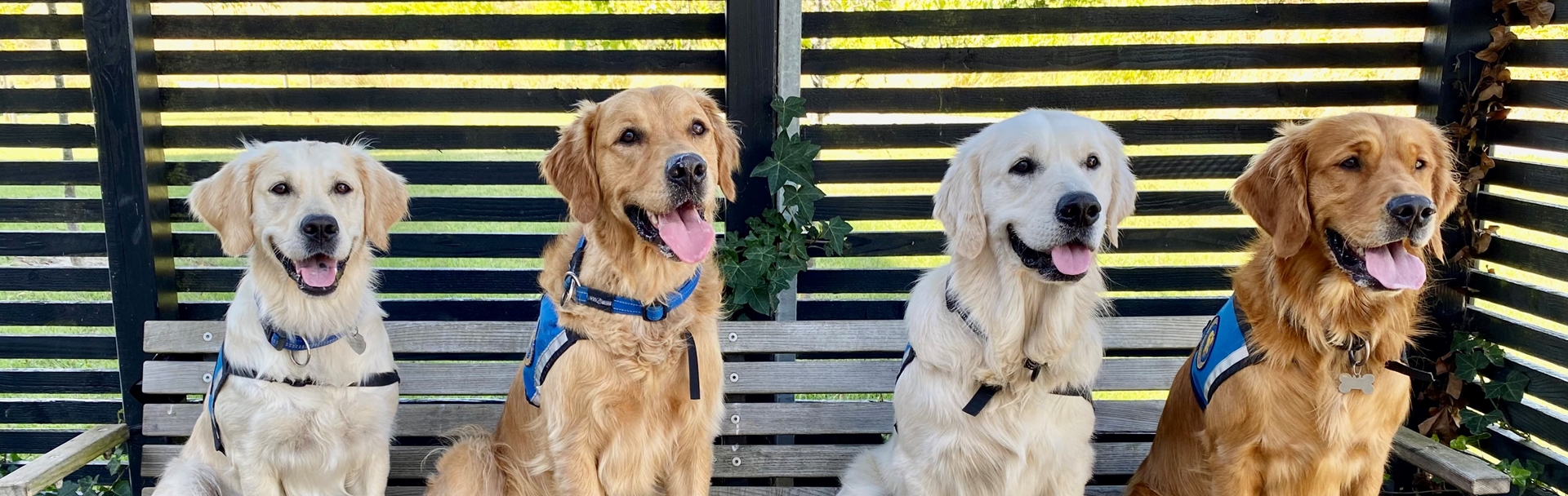 Til Graduation 2022 Invitation Okt 2022