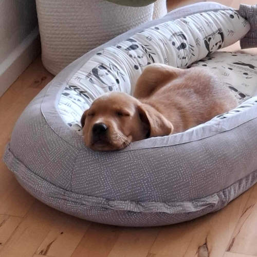 Uno I Babynest 9 Uger